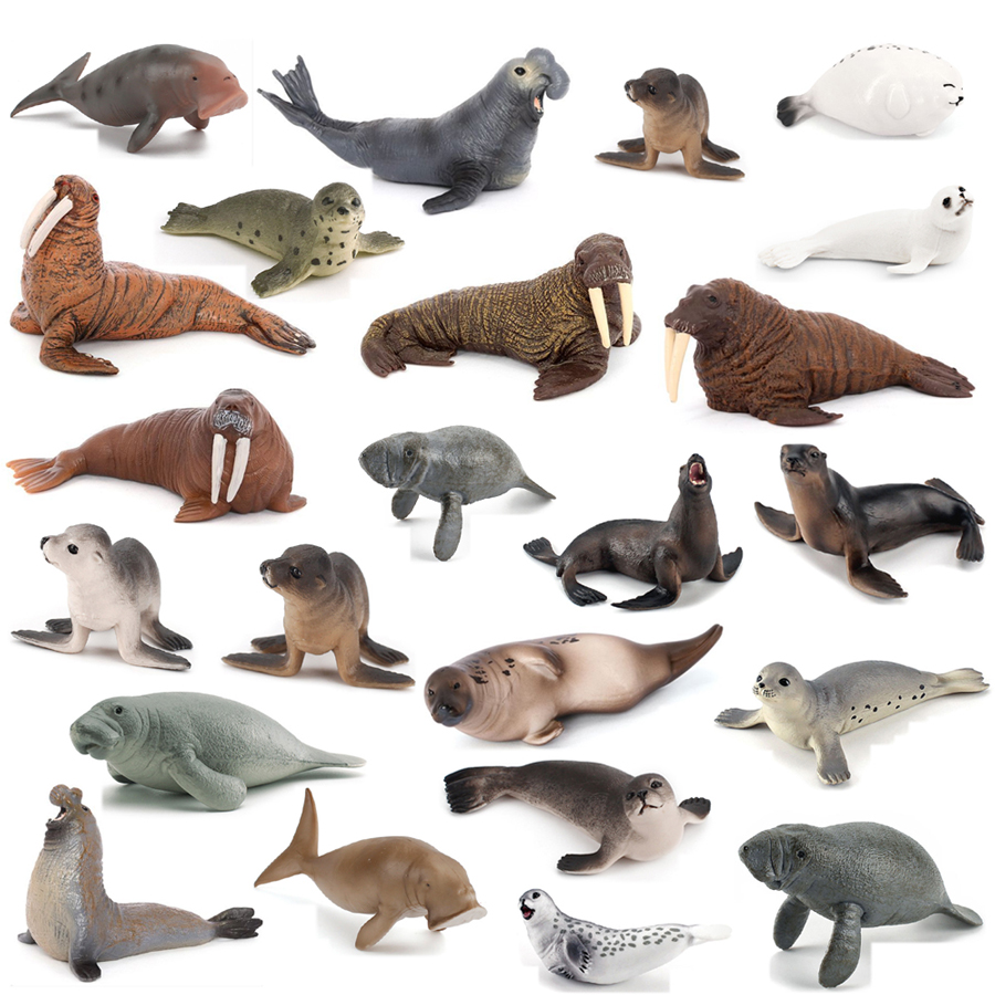 Gerçekçi Dugong Manatee Mors D - Kids Educational Game incelemesi ve fiyatı