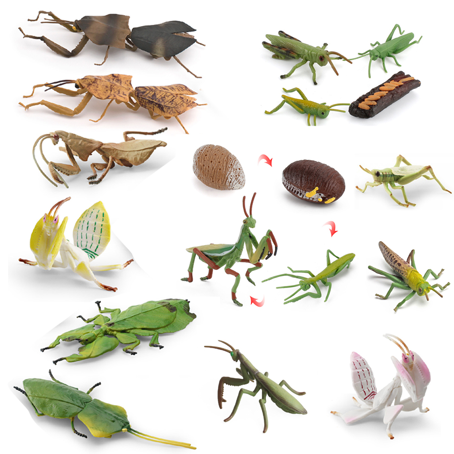 Gerçekçi Orkide Mantis Ölü Yap - Kids Educational Game incelemesi ve fiyatı