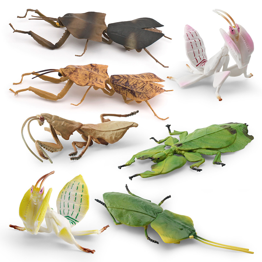Gerçekçi Orkide Mantis Ölü Yap - Kids Educational Game incelemesi ve fiyatı