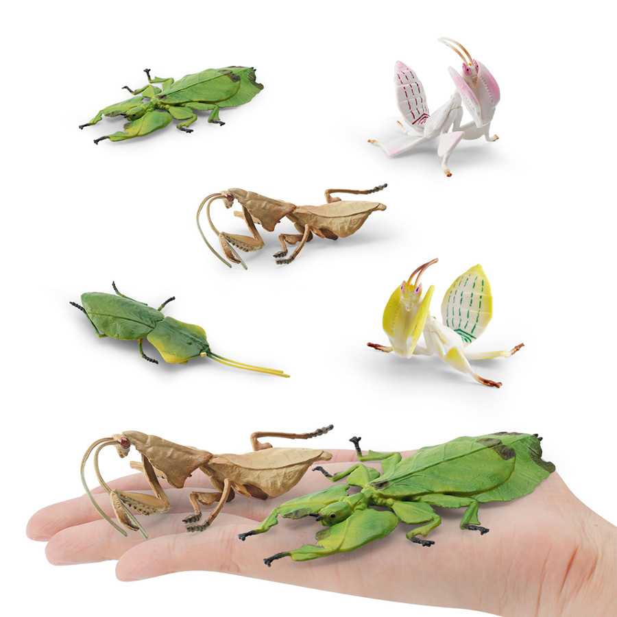 Gerçekçi Orkide Mantis Ölü Yap - Kids Educational Game incelemesi ve fiyatı