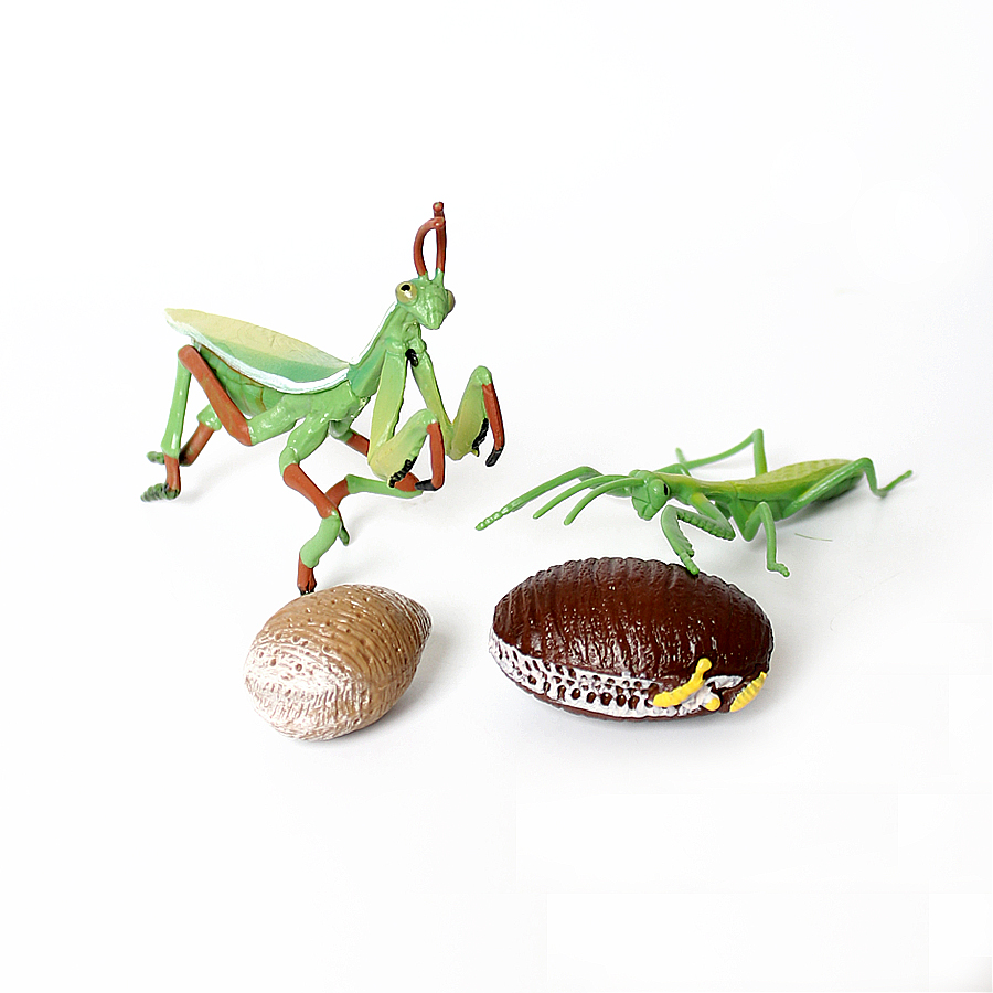 Gerçekçi Orkide Mantis Ölü Yap - Kids Educational Game incelemesi ve fiyatı
